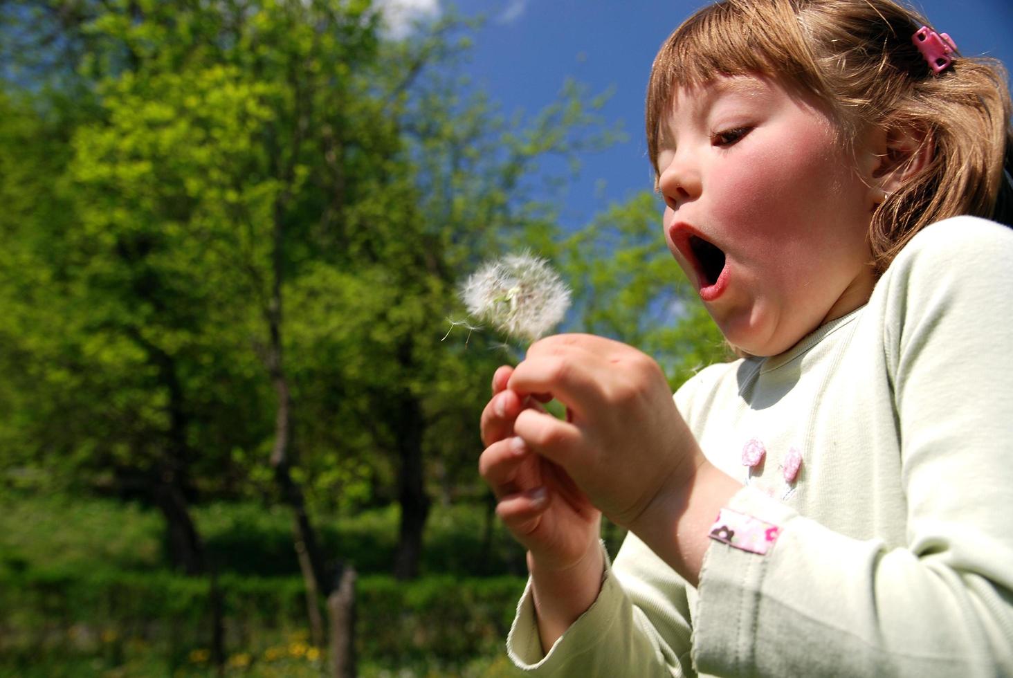 cute girl blowing dundelion photo