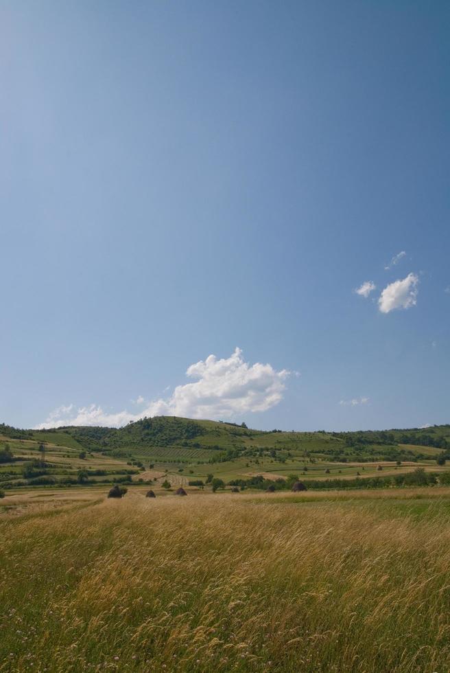 summer landscape view photo