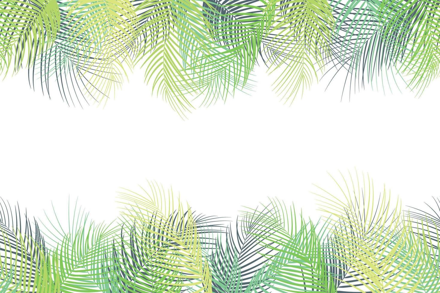 fondo de hojas de palmeras tropicales sobre fondo blanco vector