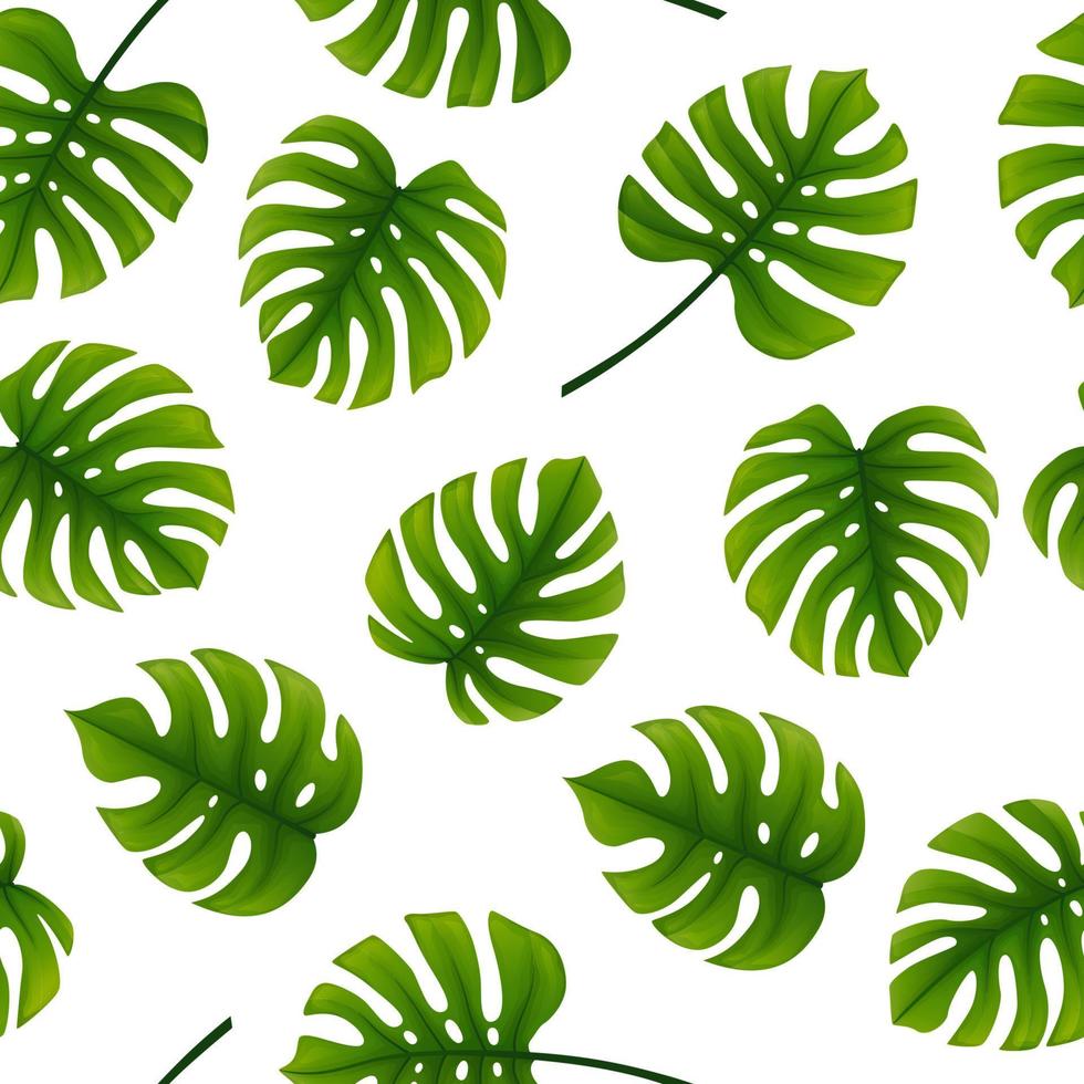 Seamless pattern of monstera leaves. Tropical leaves of palm tree background vector