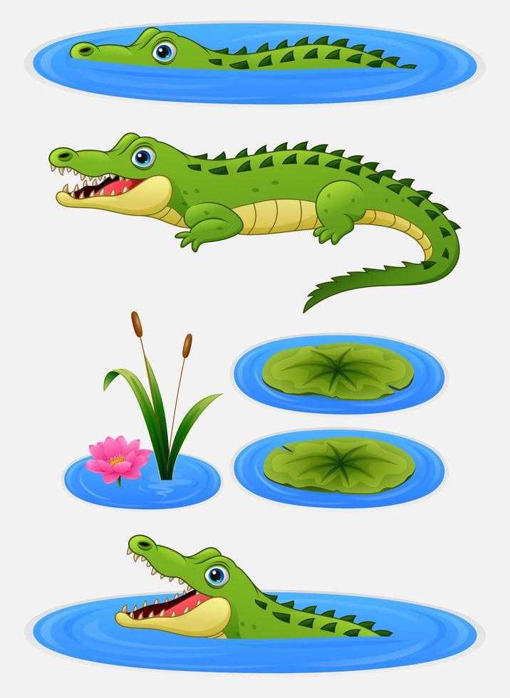 Set of cartoon crocodile and water lily vector