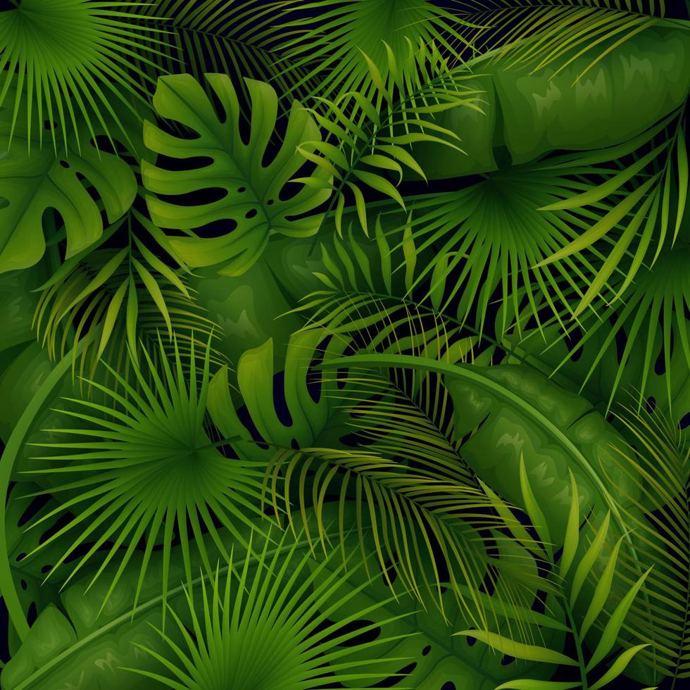 Tropical forest background vector