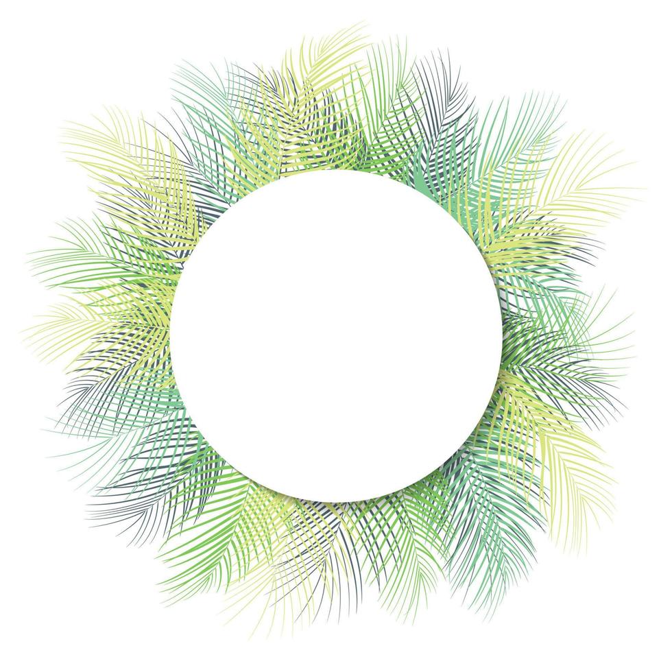 hojas de palma verde tropical con marco redondo blanco para texto aislado en fondo blanco vector