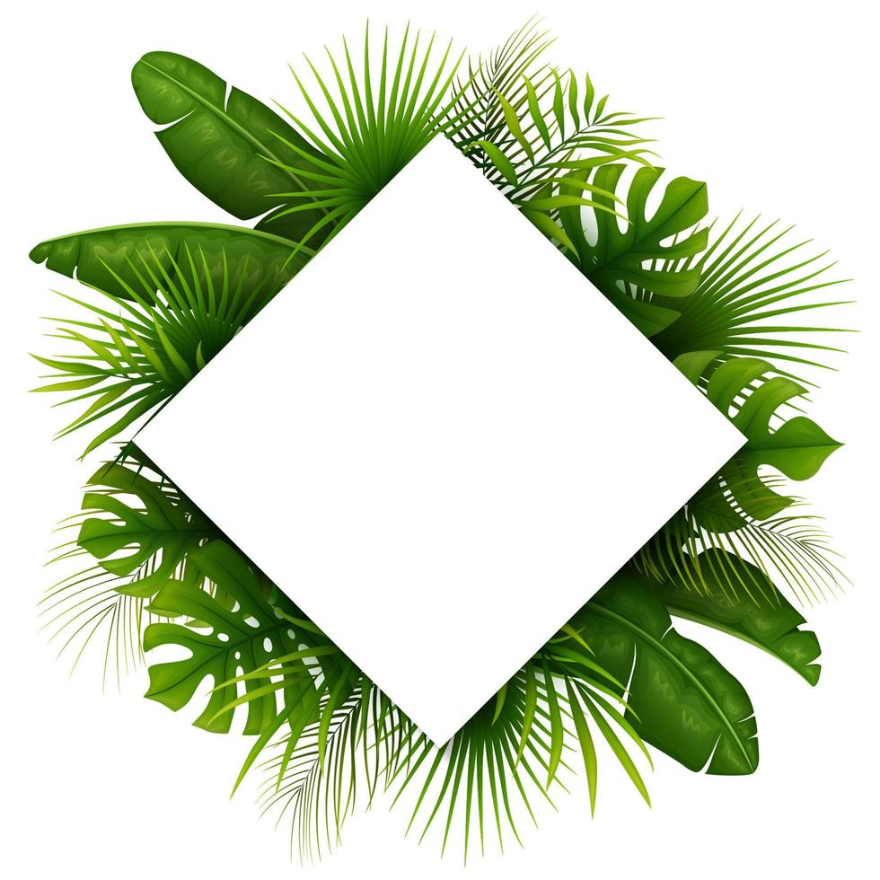 fondo de selva tropical con palmeras y hojas sobre fondo blanco vector