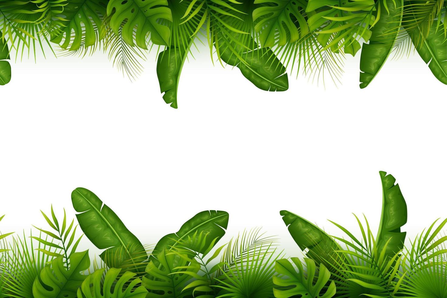 Tropical jungle background with palm trees and leaves on white background vector