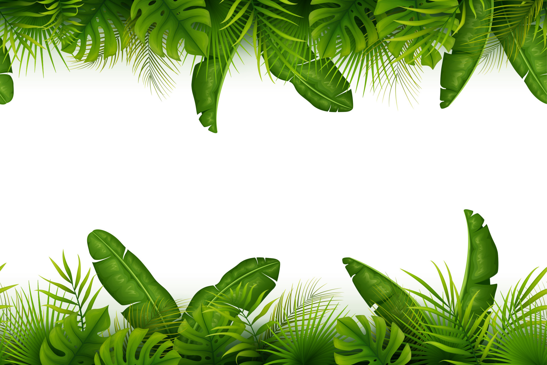 Tropical jungle background with palm trees and leaves on white background 12086596 Vector Art at