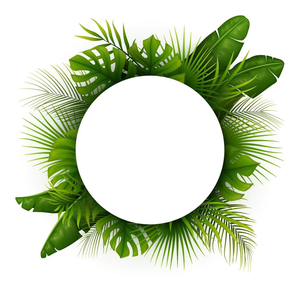hojas verdes tropicales con marco redondo blanco para texto aislado en fondo blanco vector