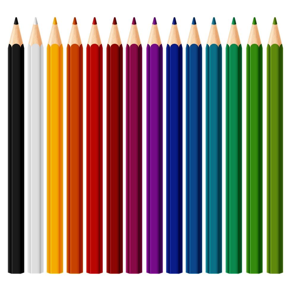 conjunto de colección de lápices de colores dispuestos uniformemente vector