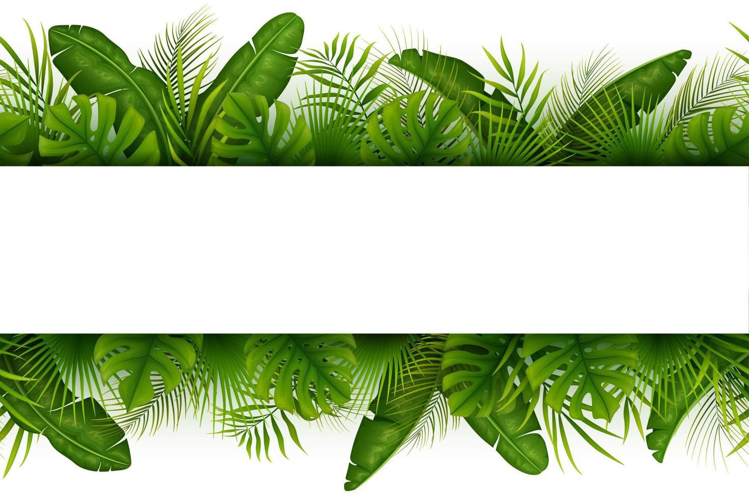 fondo de selva tropical con palmeras y hojas sobre fondo blanco vector