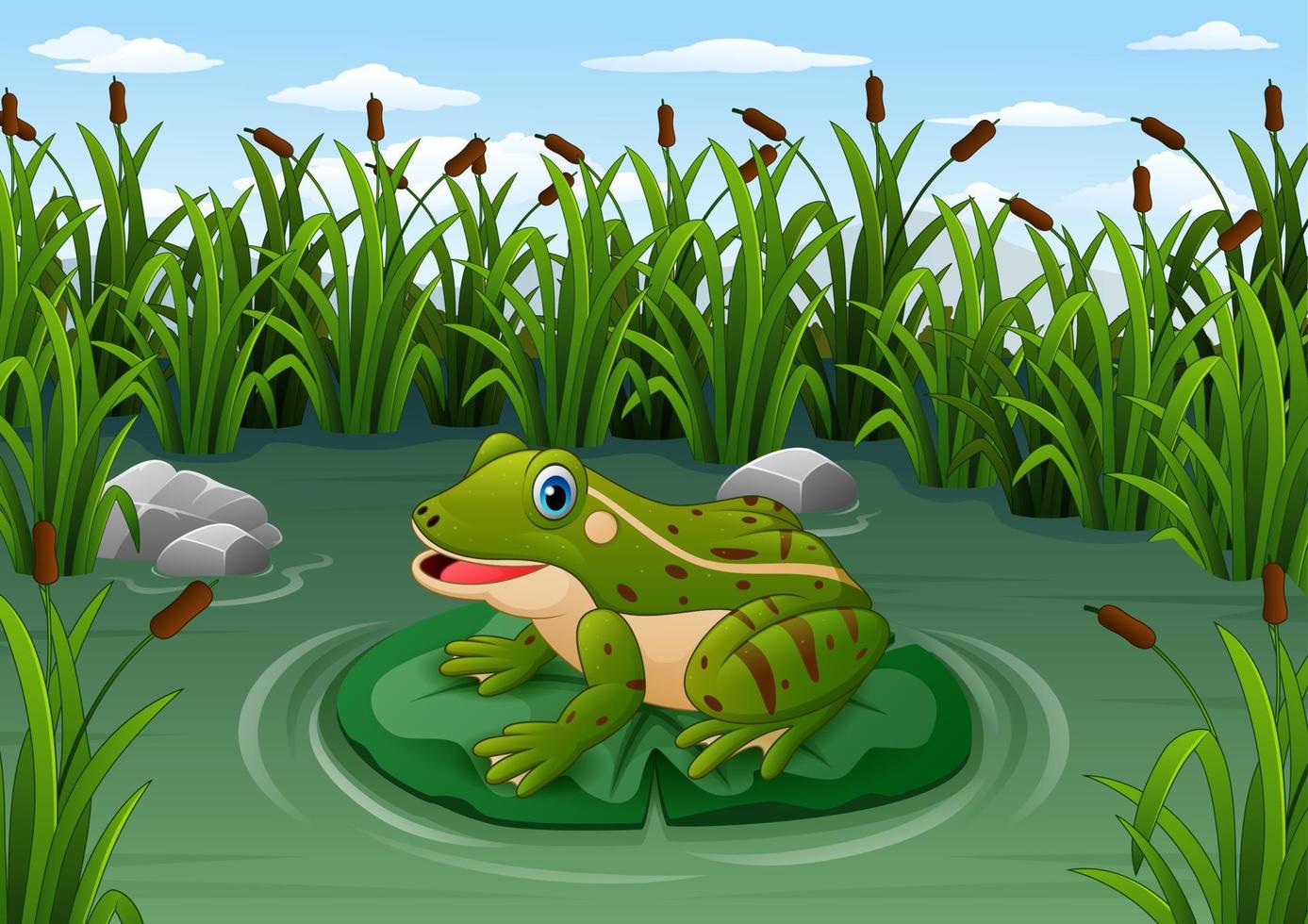 Cartoon frog on a leaf in the pond vector