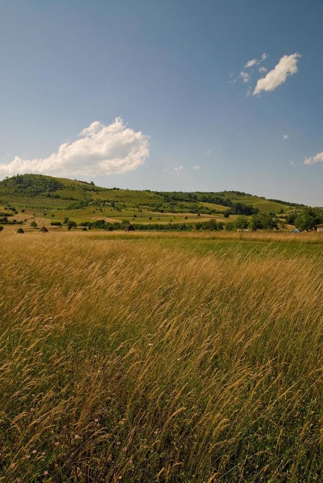 summer landscape view photo