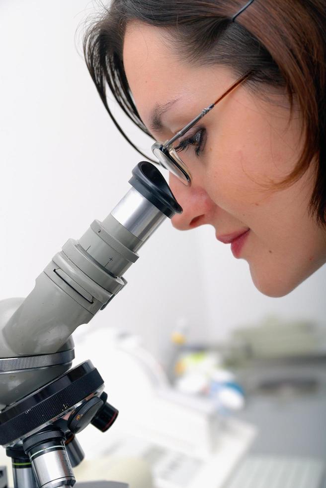 under the microscope photo