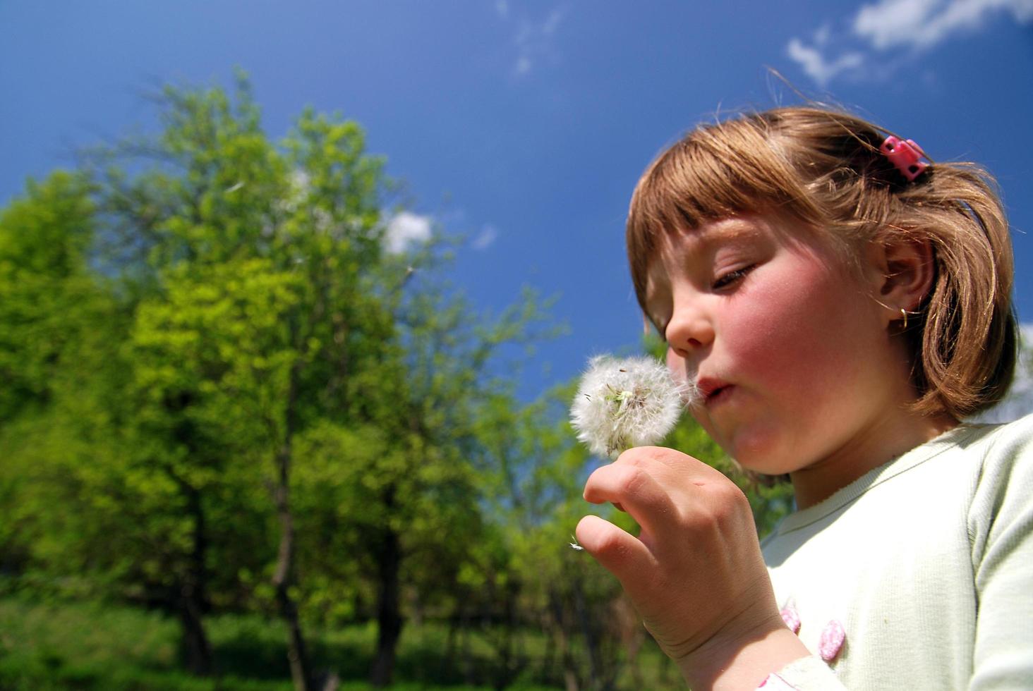 cute girl blowing dundelion photo