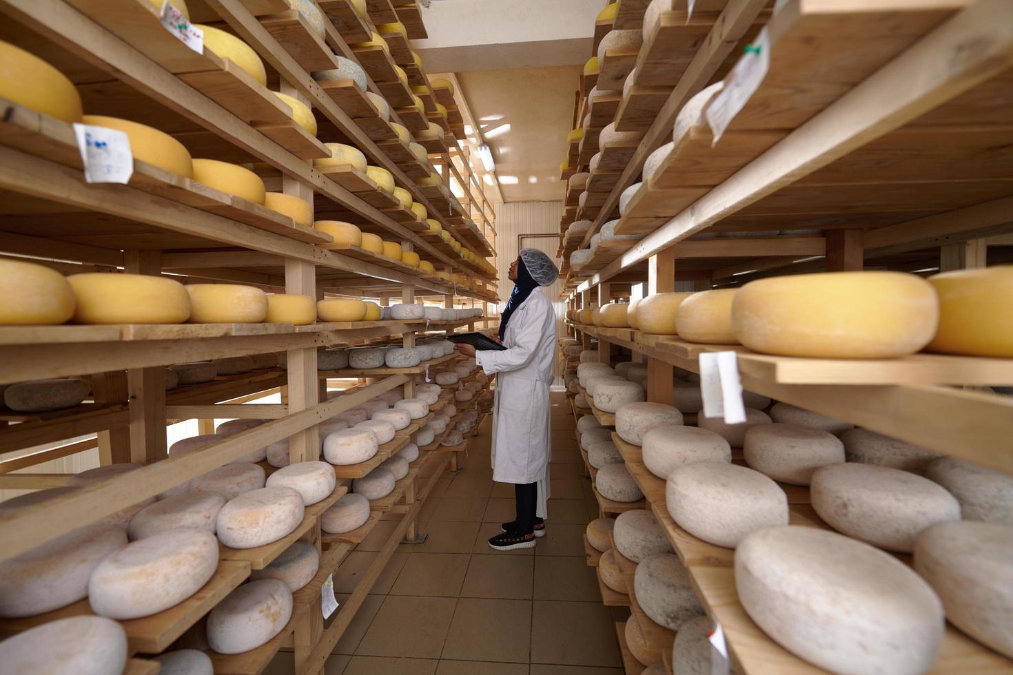 mujer de negocios musulmana negra africana en una empresa local de producción de queso foto