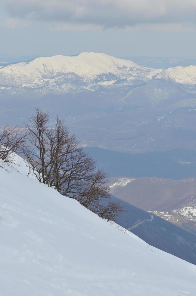 Winter landscape view photo