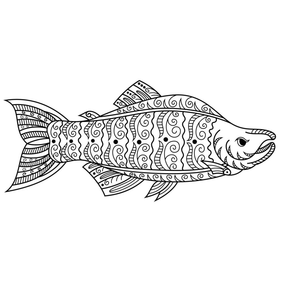 Salmon fish line art 12093085 Vector Art at Vecteezy