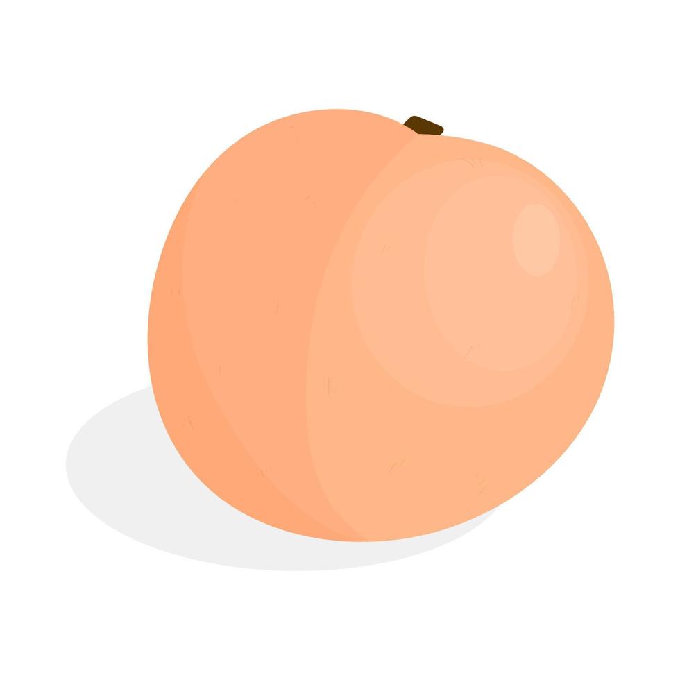 Cartoon peach vector illustration. Cartoon fruit isolated on white background