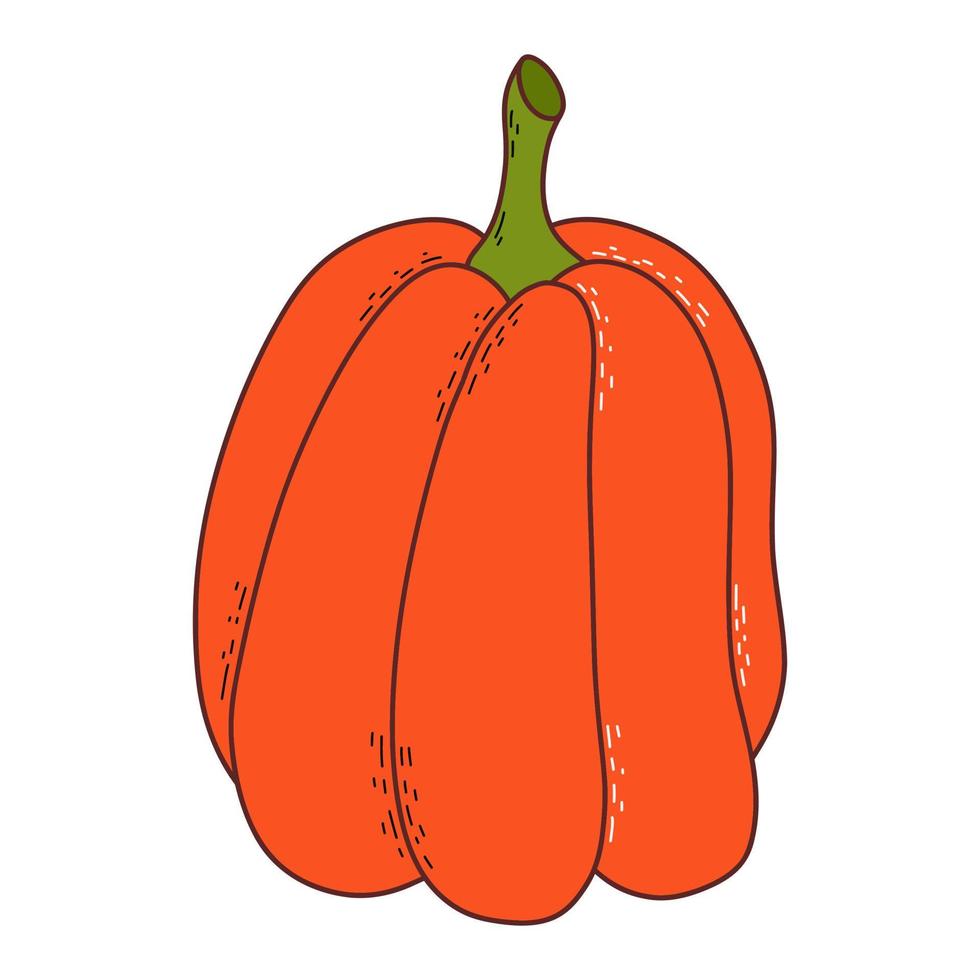 Cute pumpkin. Thanksgiving and halloween element. Vector illustration in hand drawn style