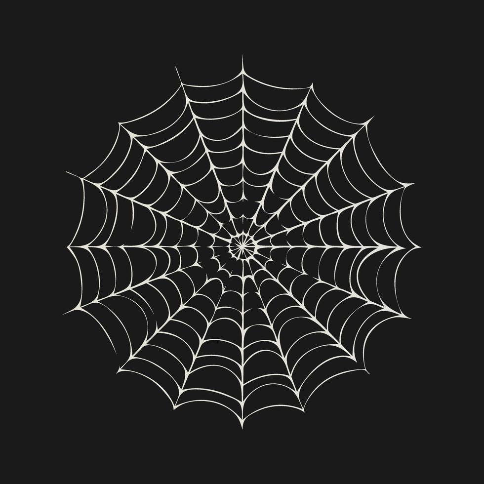 Spider web. Vector illustration. Isolated background. Element for design, Halloween.