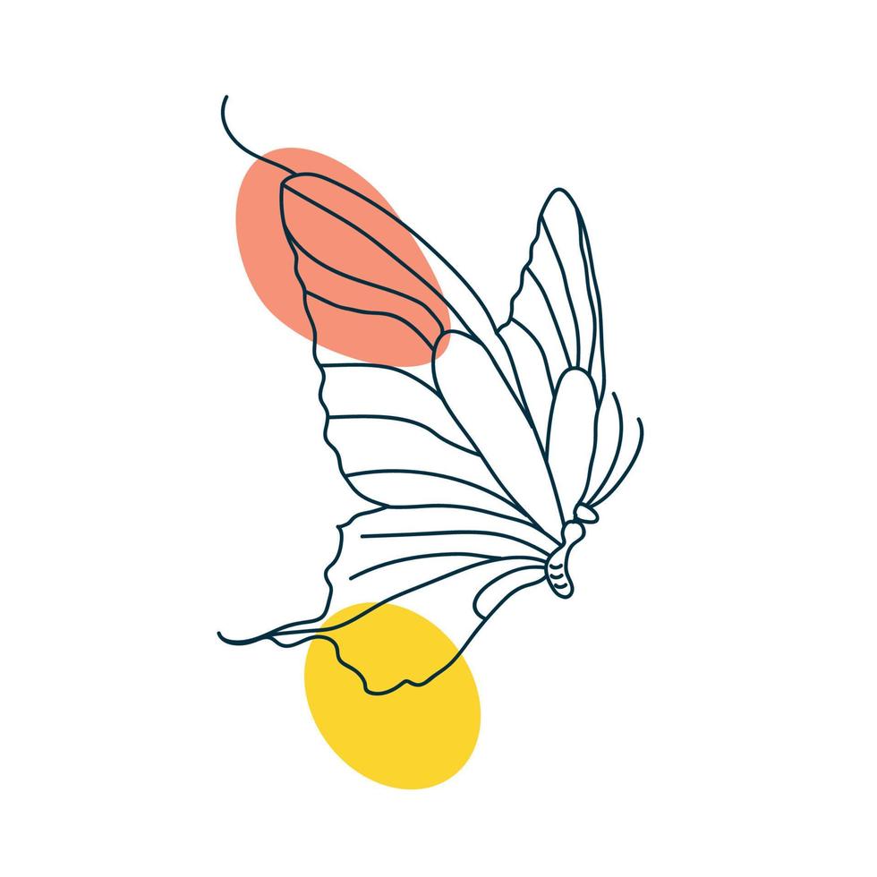 Butterfly line art vector drawing