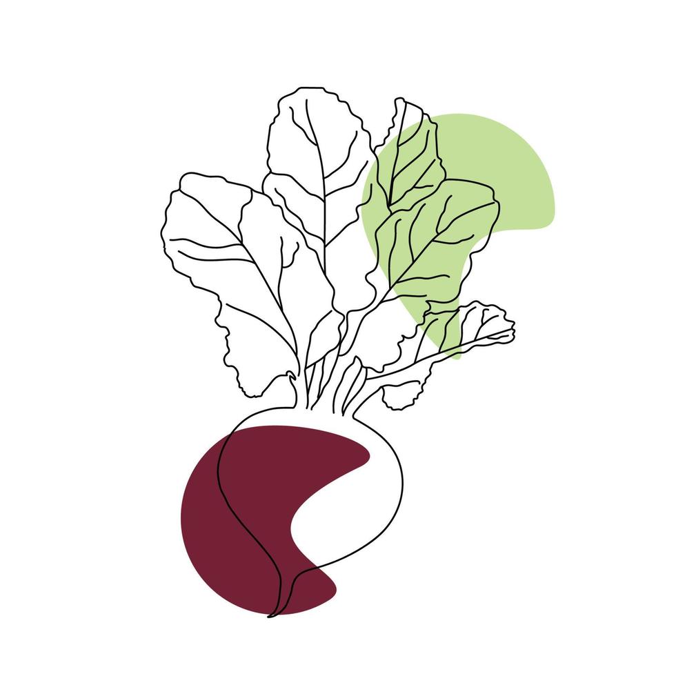 Beetroot Line art vector design