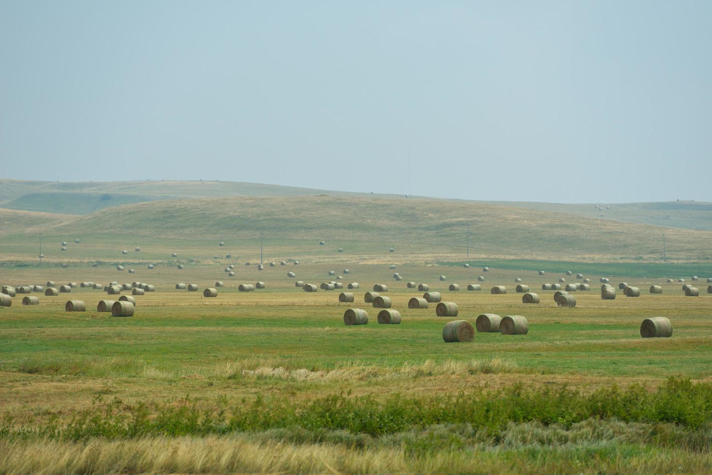 summer landscape view photo