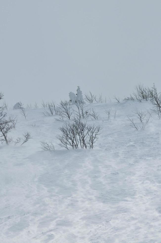 vista del paisaje de invierno foto