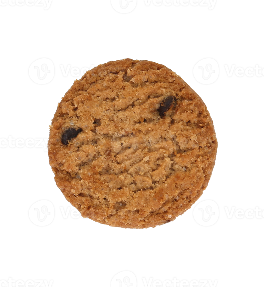 round chocolate chip cookie isolated on transparent background png file