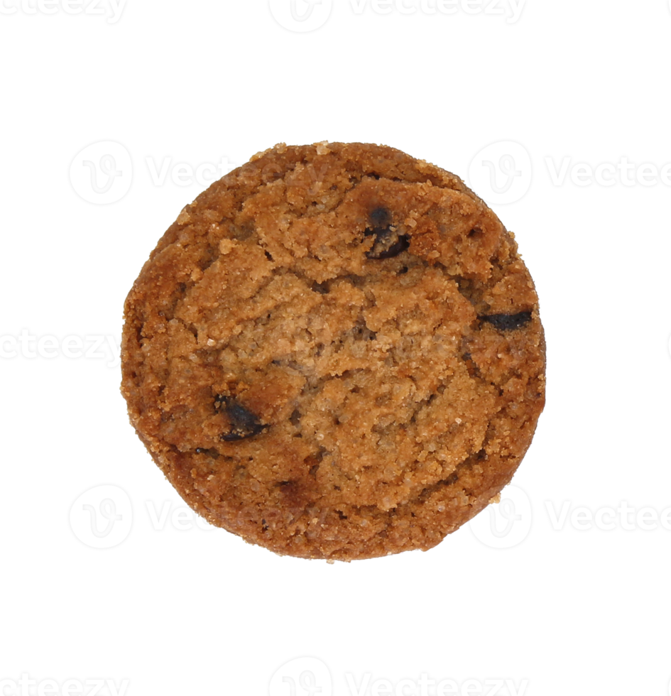 round chocolate chip cookie isolated on transparent background png file