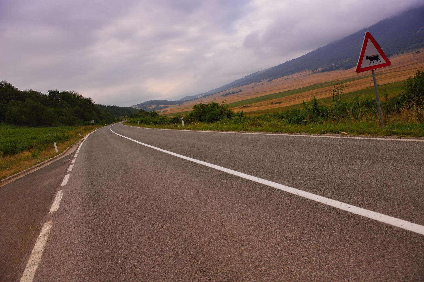 road through the green field photo