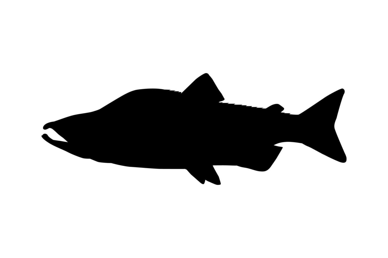 Salmon Fish Silhouette for Icon, Symbol, Logo, Pictogram, Apps, Website or Graphic Design Element. Vector Illustration