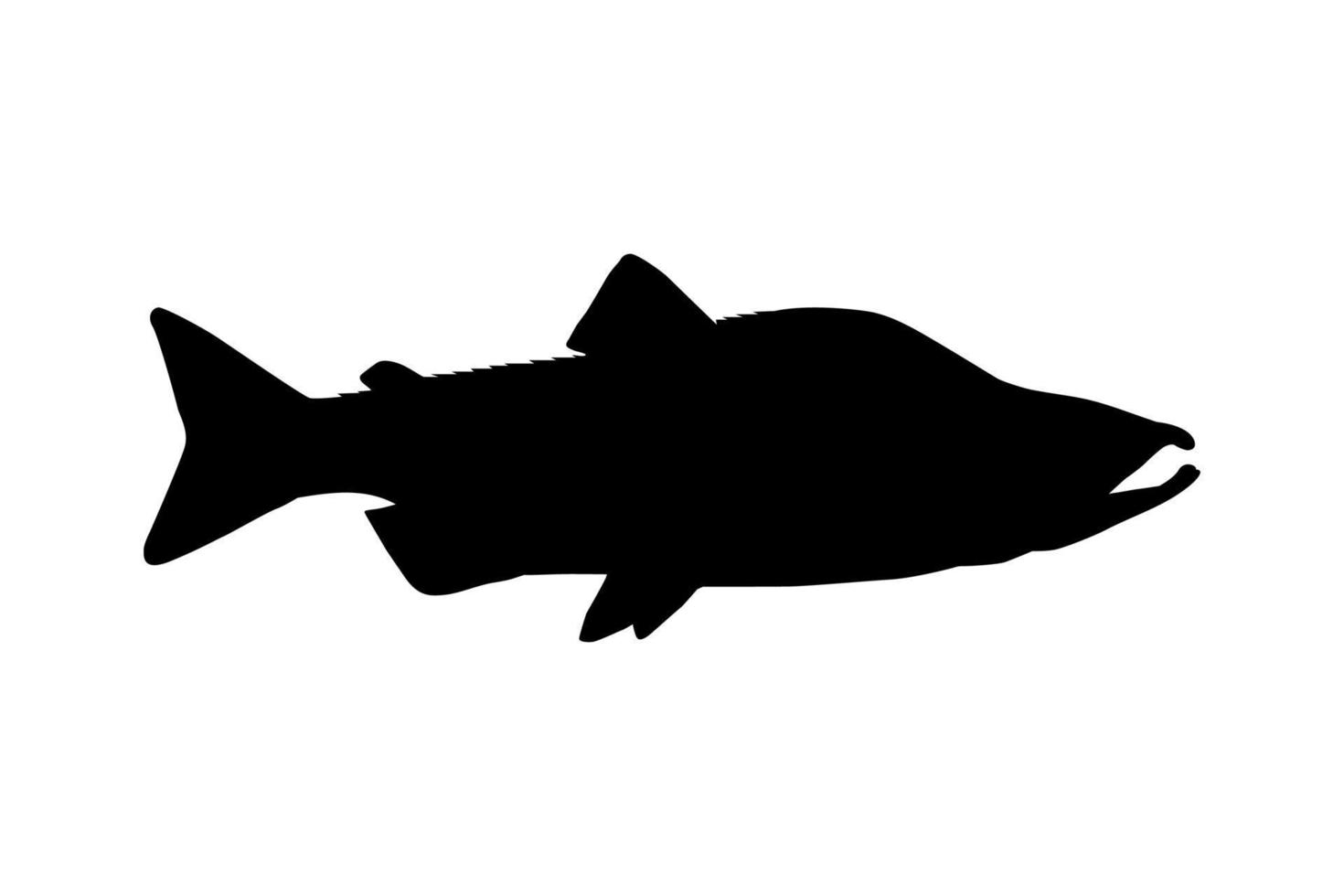 Salmon Fish Silhouette for Icon, Symbol, Logo, Pictogram, Apps, Website or Graphic Design Element. Vector Illustration