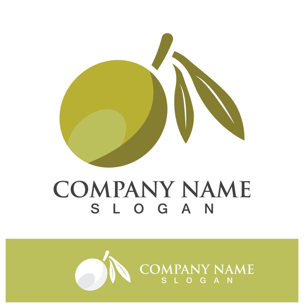 Olive logo images illustration vector