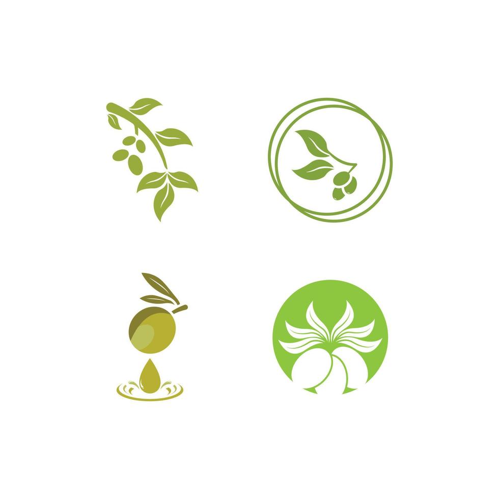 Olive logo images illustration vector