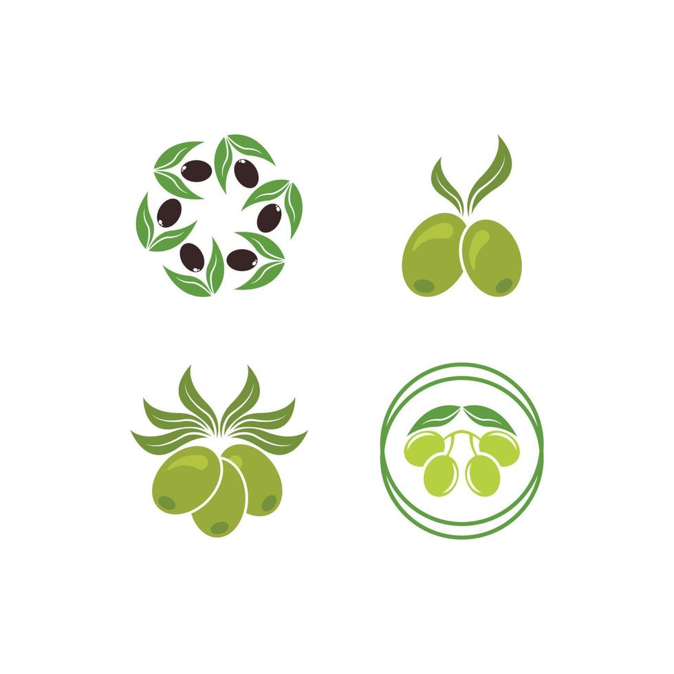 Olive logo images illustration vector