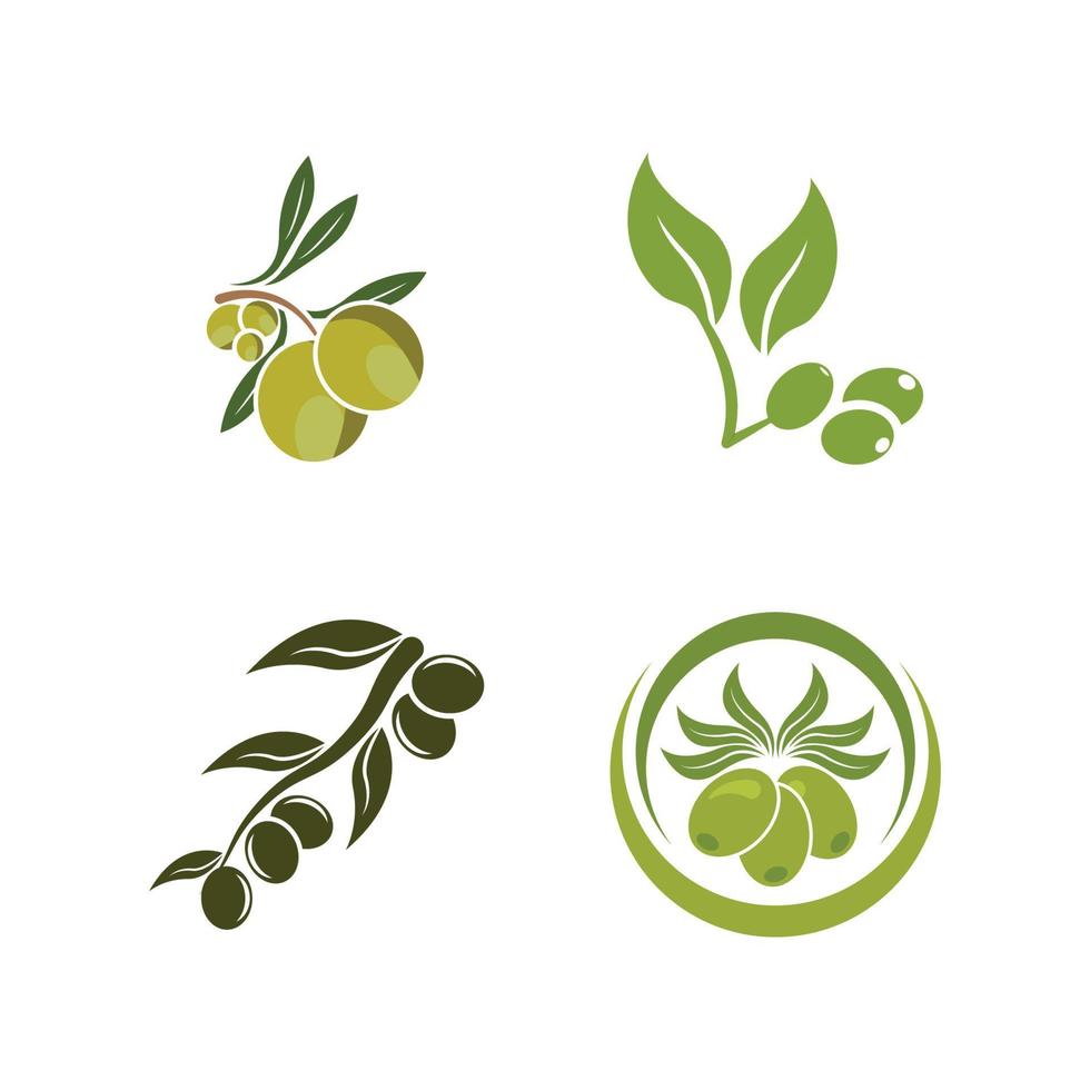 Olive logo images illustration vector