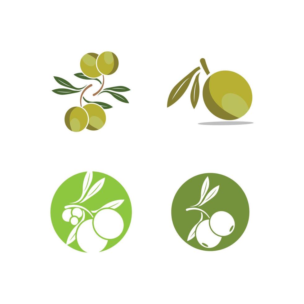 Olive logo images illustration vector