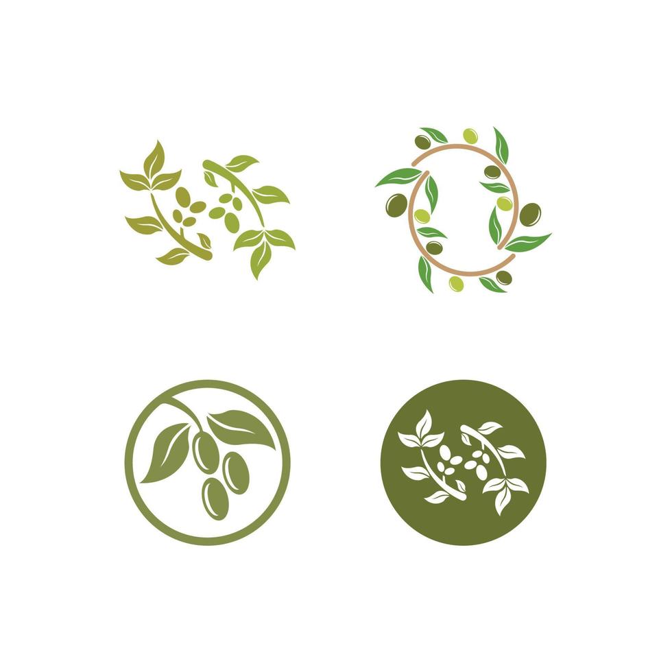 Olive logo images illustration vector