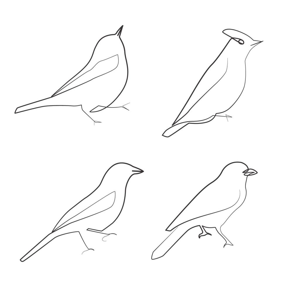 Bird linear drawing one line art illustration vector