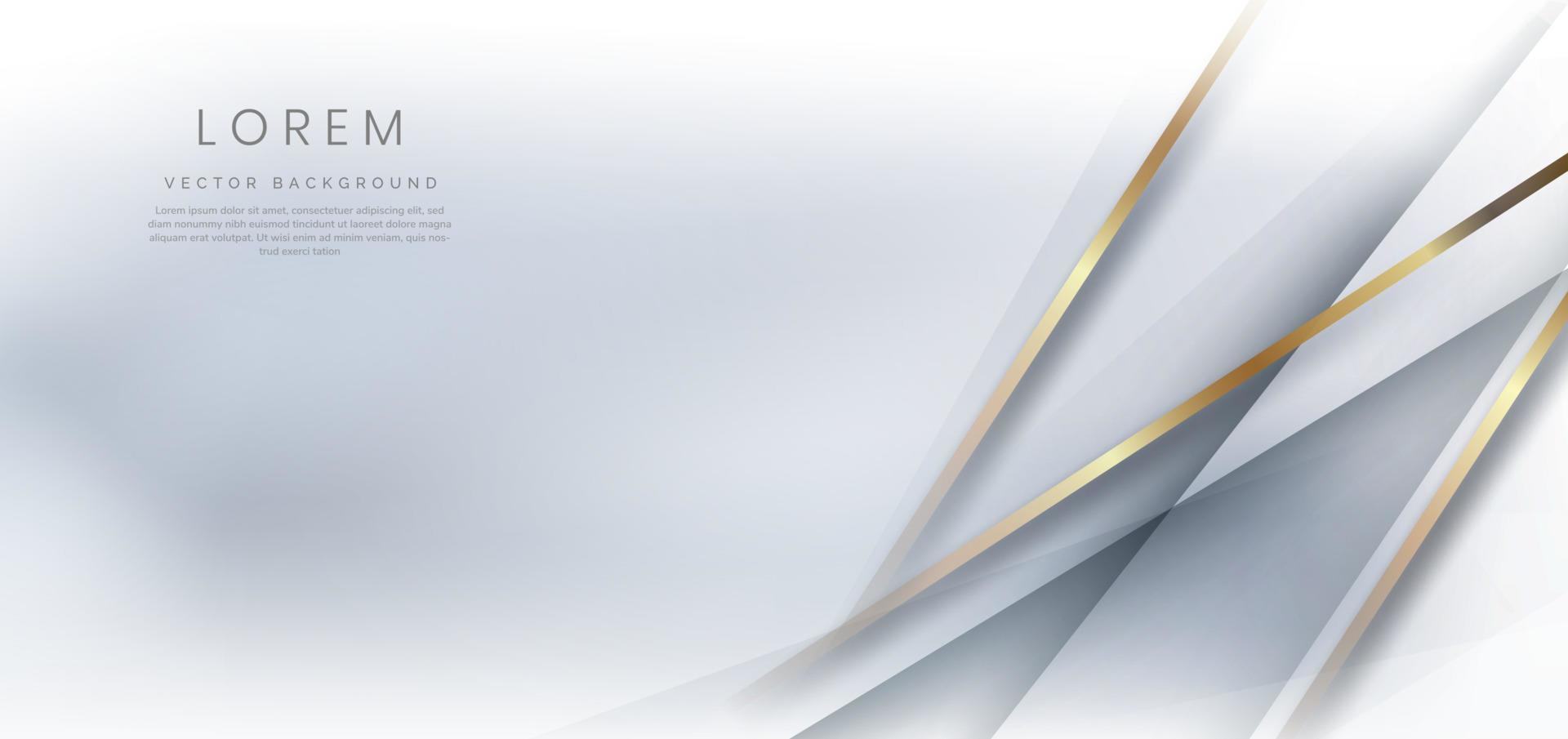 Elegant diagonal white and grey luxury background with golden border. Template premium award design. vector