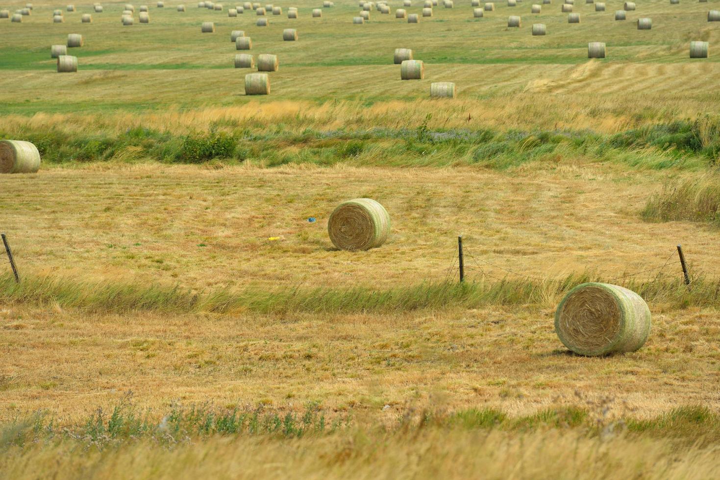 summer landscape view photo