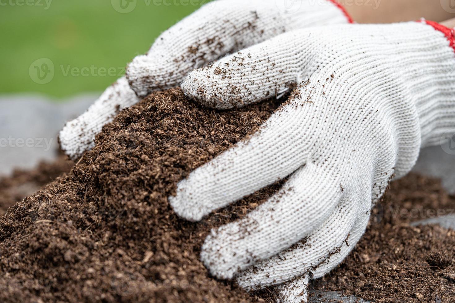 Hand holding peat moss organic matter improve soil for agriculture organic plant growing, ecology concept. photo