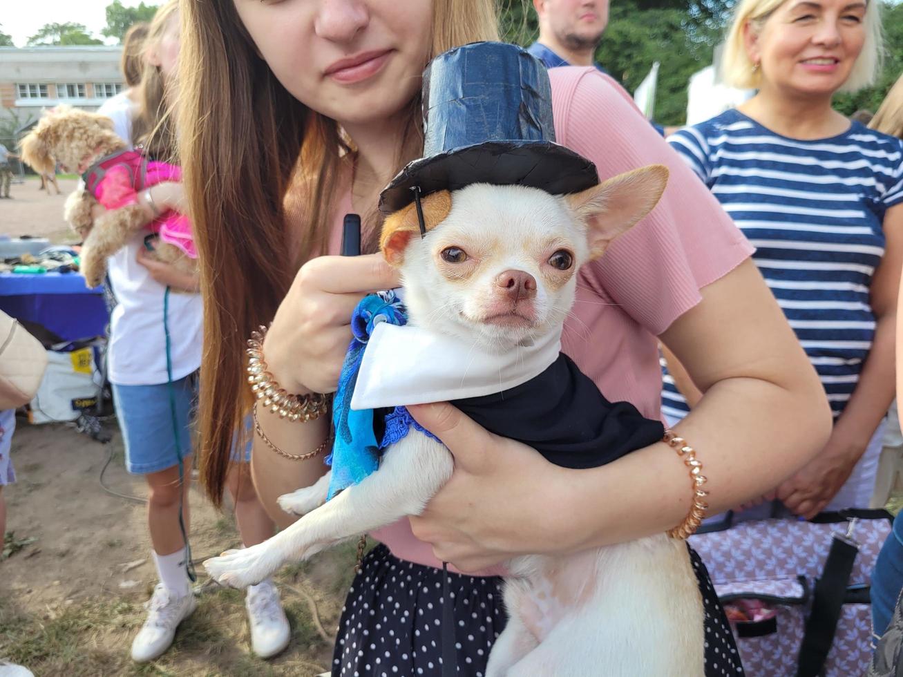 St Petersburg, Russia, 2022 - Dogs dressed up for the fashion show at Petshop Days festival photo