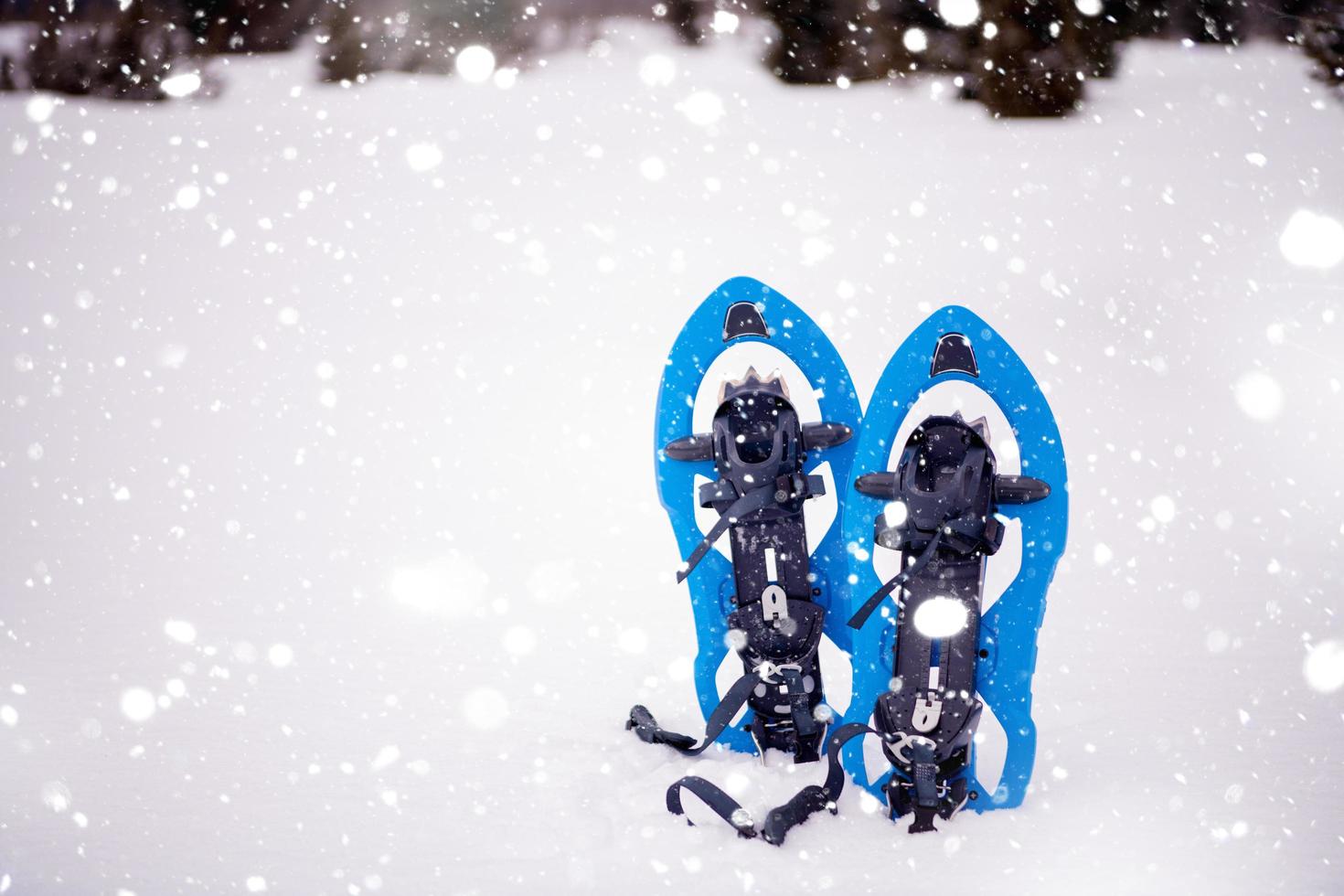 Blue snowshoes in fresh show photo