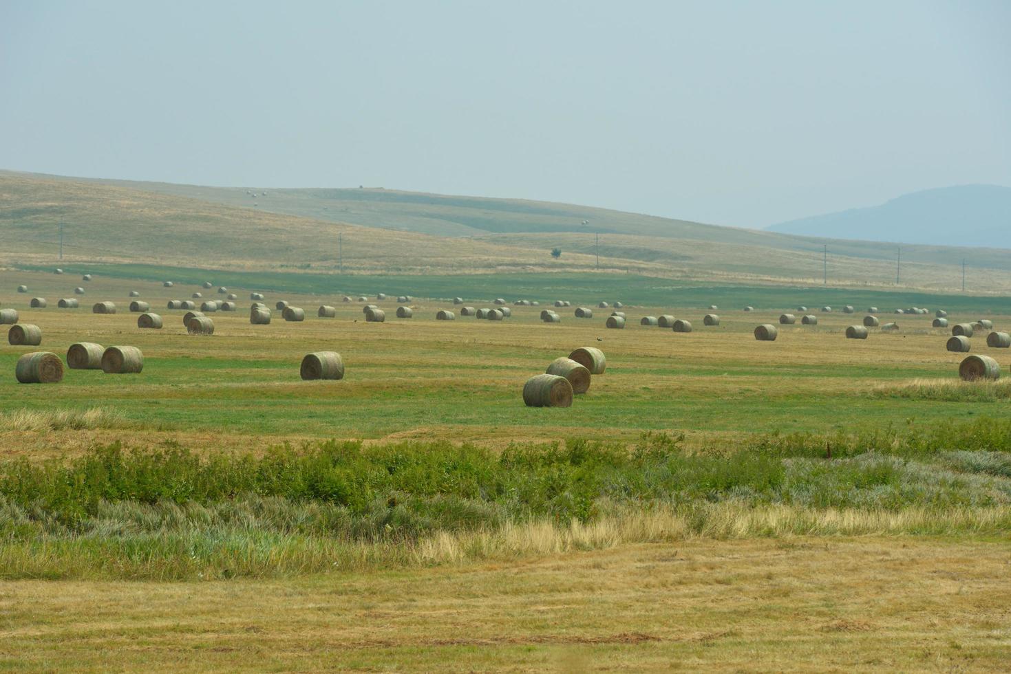 summer landscape view photo