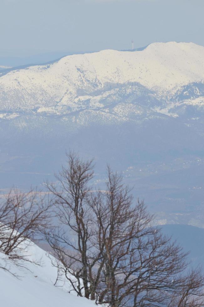 Winter landscape view photo