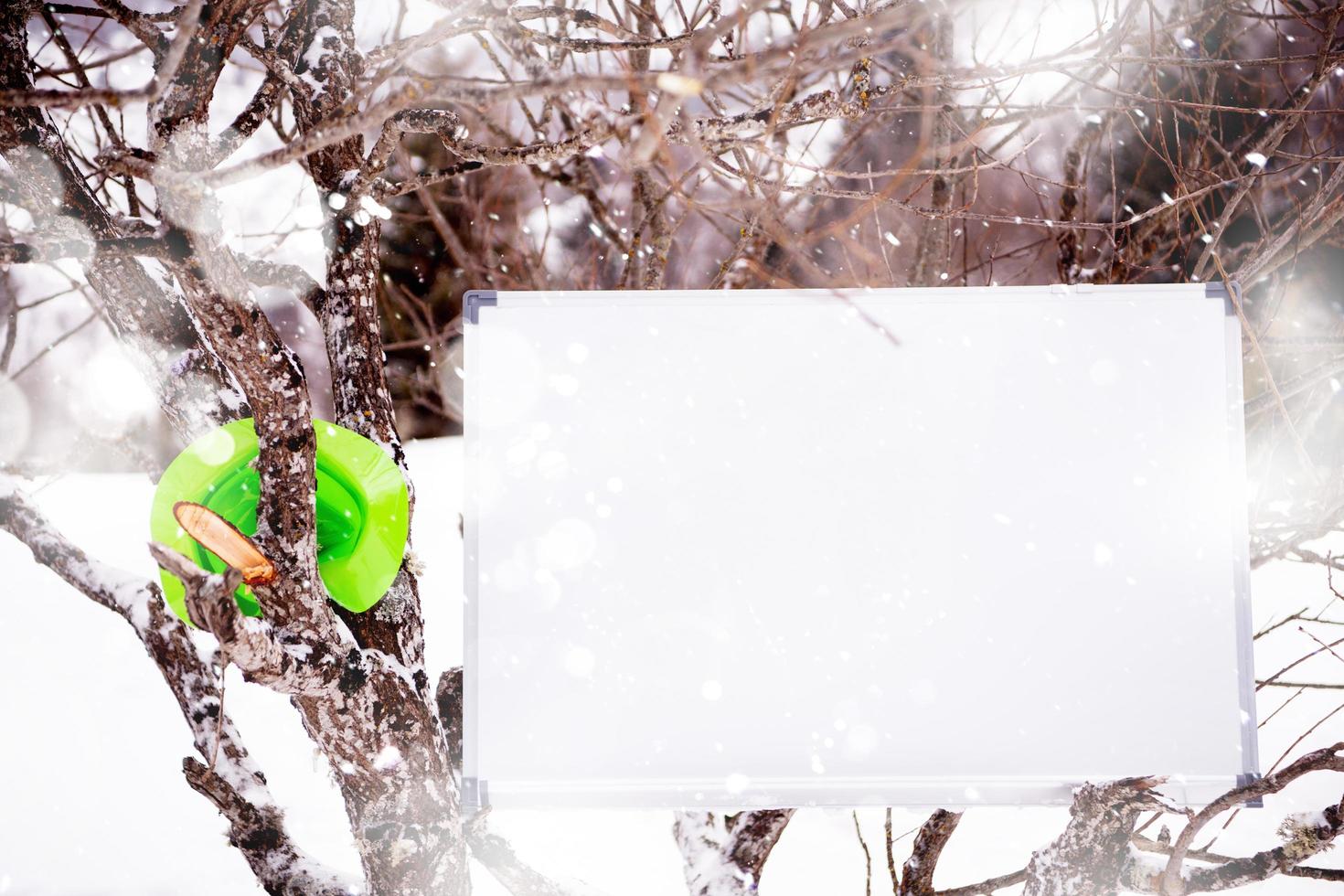 whiteboard on winter tree photo