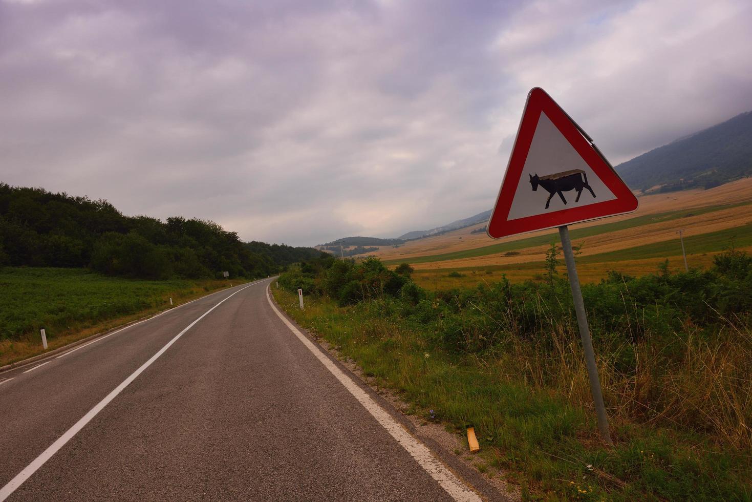 road through the green field photo
