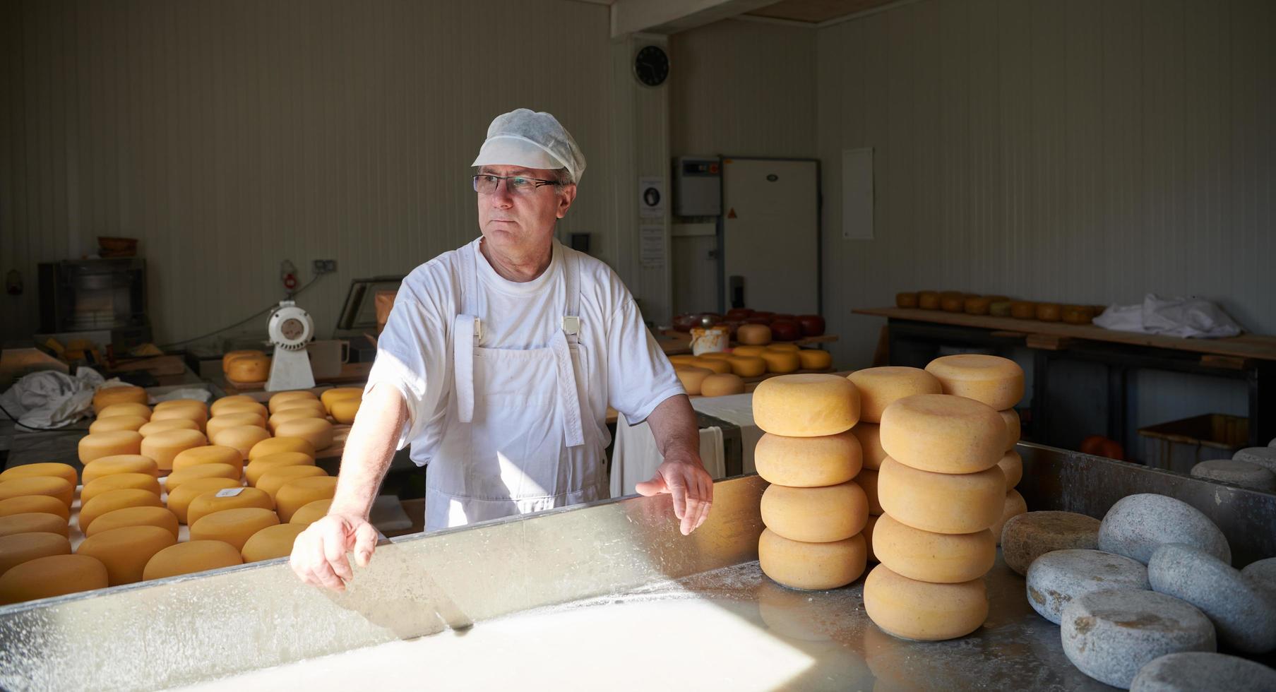 Cheese maker at local  production factory photo