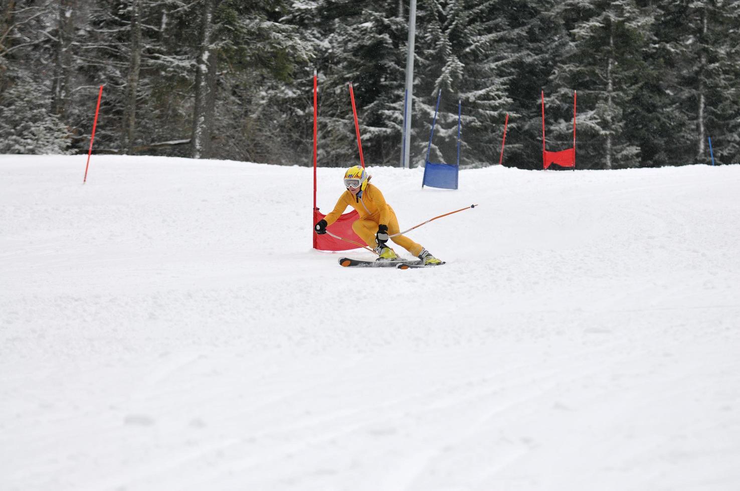 ski race view photo